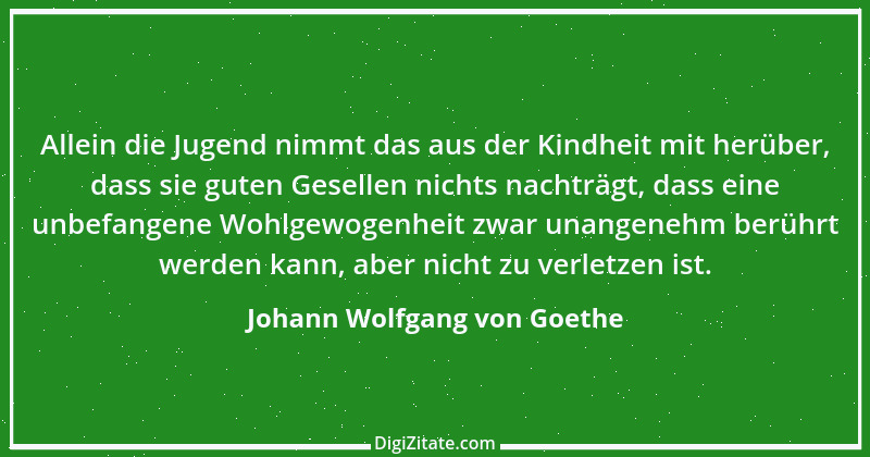 Zitat von Johann Wolfgang von Goethe 4124