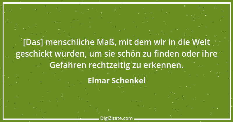 Zitat von Elmar Schenkel 338