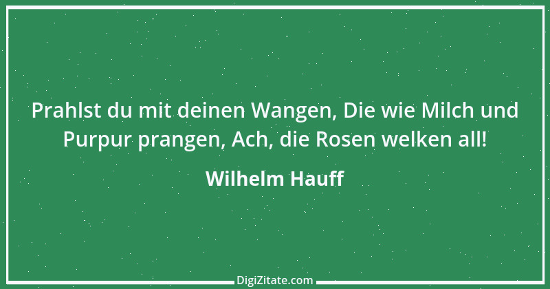 Zitat von Wilhelm Hauff 12