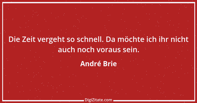 Zitat von André Brie 11