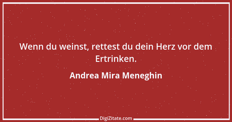 Zitat von Andrea Mira Meneghin 320