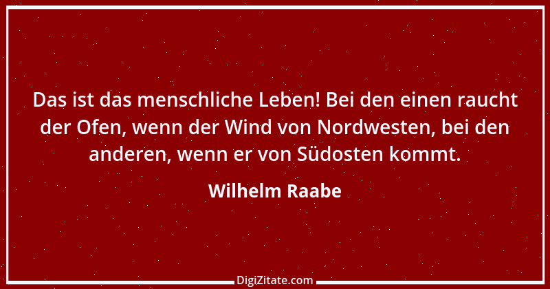 Zitat von Wilhelm Raabe 245