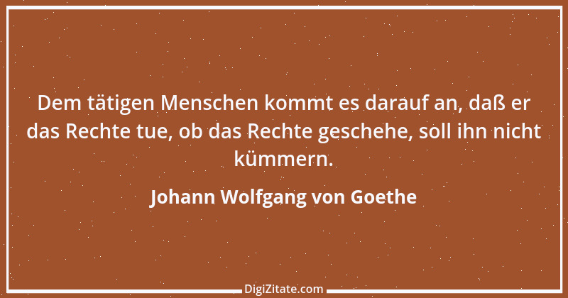 Zitat von Johann Wolfgang von Goethe 126