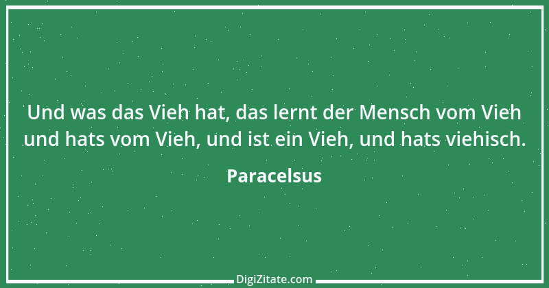 Zitat von Paracelsus 8