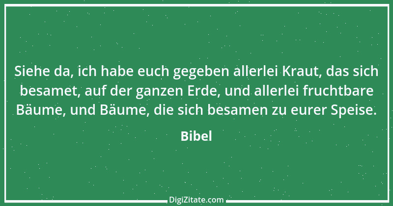 Zitat von Bibel 163