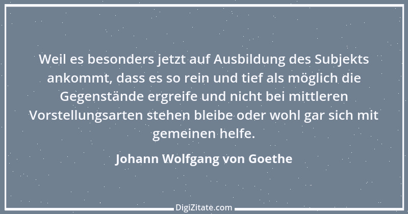 Zitat von Johann Wolfgang von Goethe 128