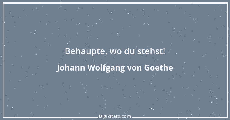 Zitat von Johann Wolfgang von Goethe 4128