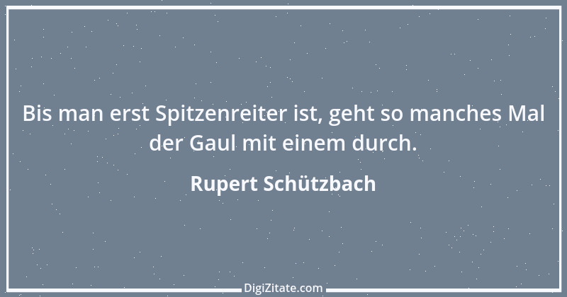 Zitat von Rupert Schützbach 32