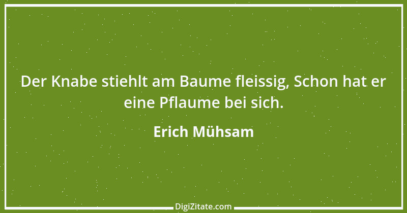 Zitat von Erich Mühsam 6