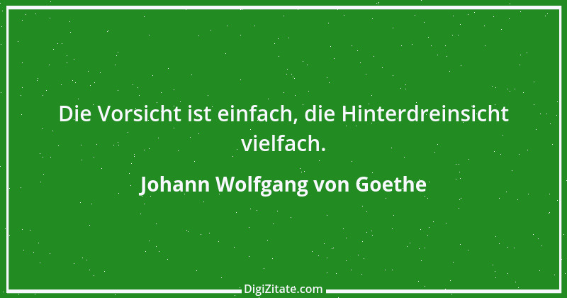 Zitat von Johann Wolfgang von Goethe 2130