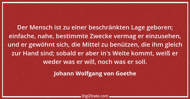 Zitat von Johann Wolfgang von Goethe 132