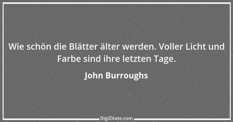 Zitat von John Burroughs 2