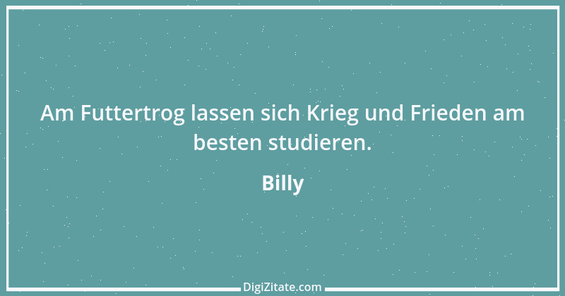 Zitat von Billy 212