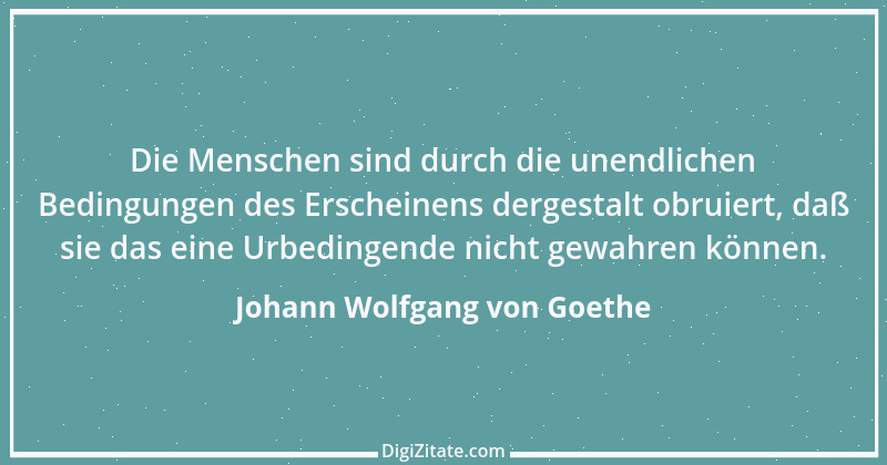 Zitat von Johann Wolfgang von Goethe 133