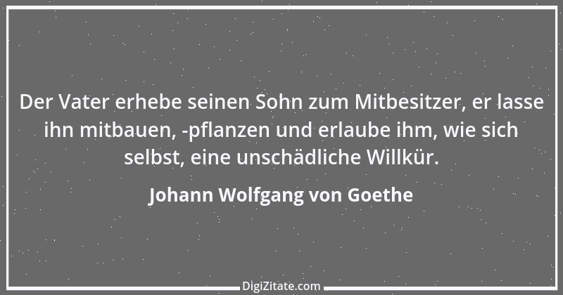 Zitat von Johann Wolfgang von Goethe 3133