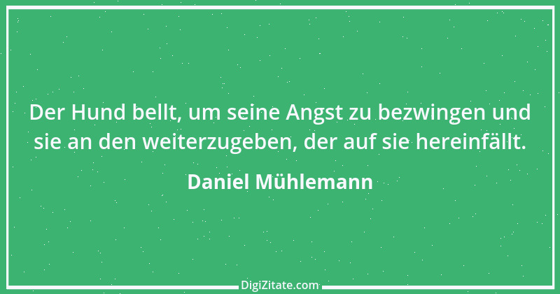 Zitat von Daniel Mühlemann 23