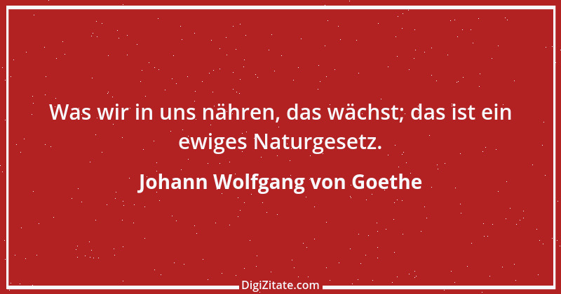 Zitat von Johann Wolfgang von Goethe 2134