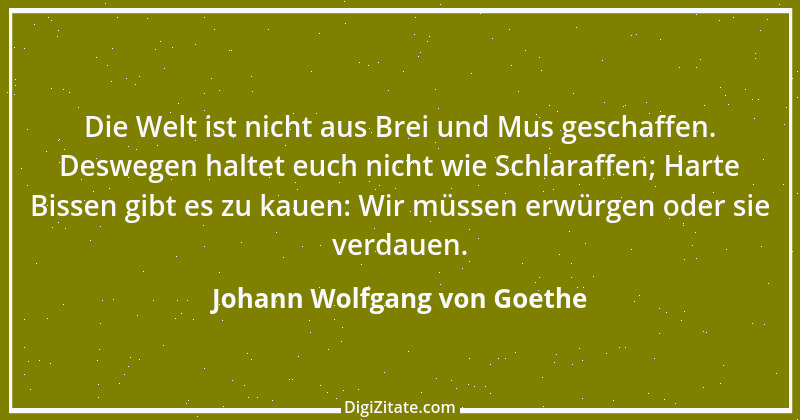 Zitat von Johann Wolfgang von Goethe 3134