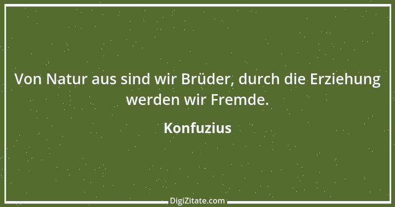 Zitat von Konfuzius 377