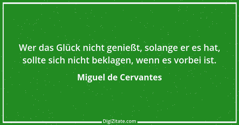 Zitat von Miguel de Cervantes 65