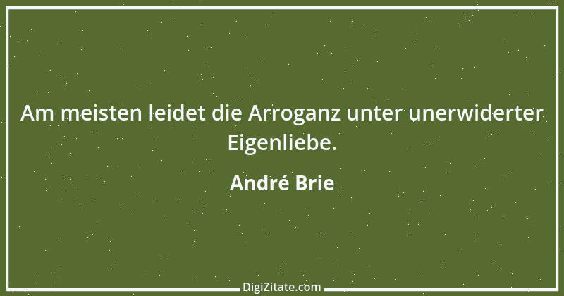 Zitat von André Brie 48