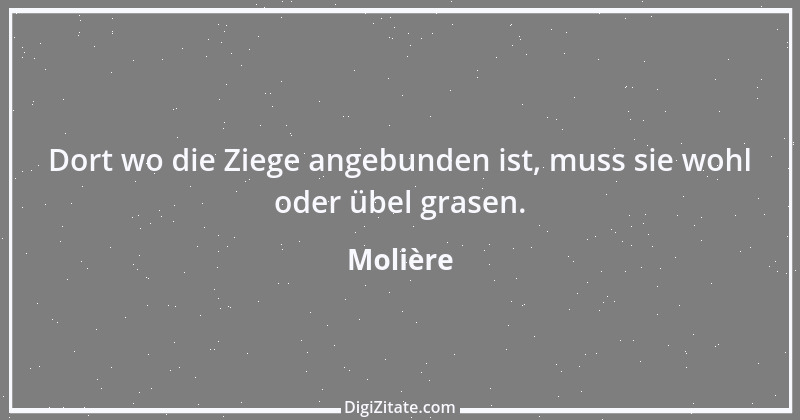 Zitat von Molière 170