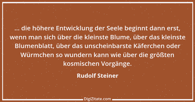 Zitat von Rudolf Steiner 46