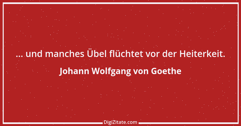 Zitat von Johann Wolfgang von Goethe 3137