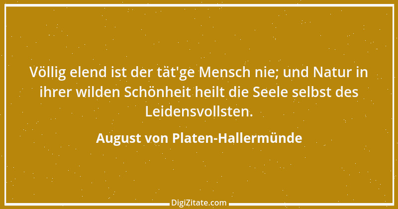 Zitat von August von Platen-Hallermünde 88