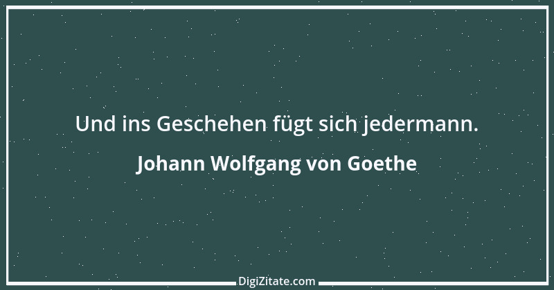 Zitat von Johann Wolfgang von Goethe 4139