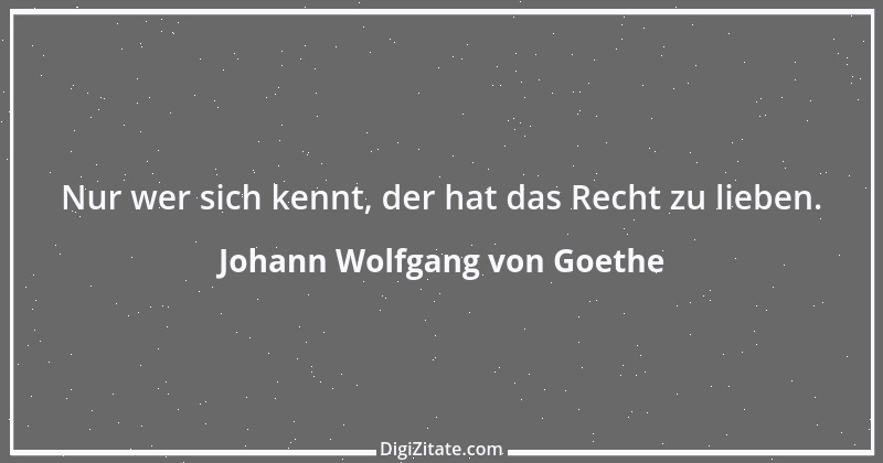 Zitat von Johann Wolfgang von Goethe 140