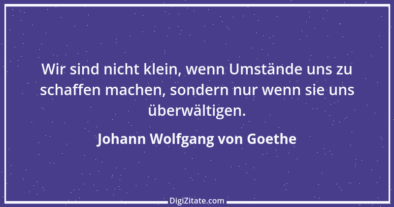 Zitat von Johann Wolfgang von Goethe 4140