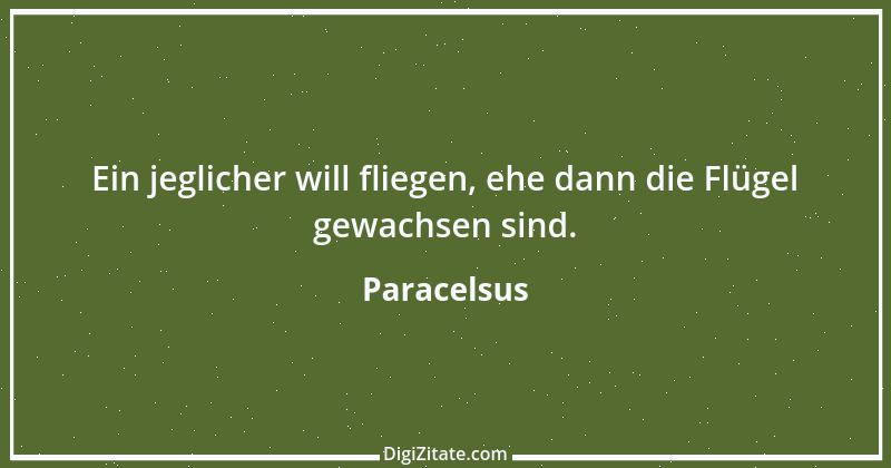 Zitat von Paracelsus 21