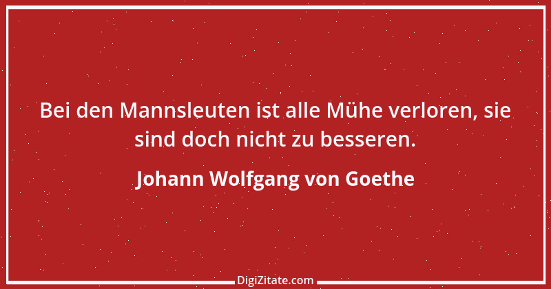 Zitat von Johann Wolfgang von Goethe 143