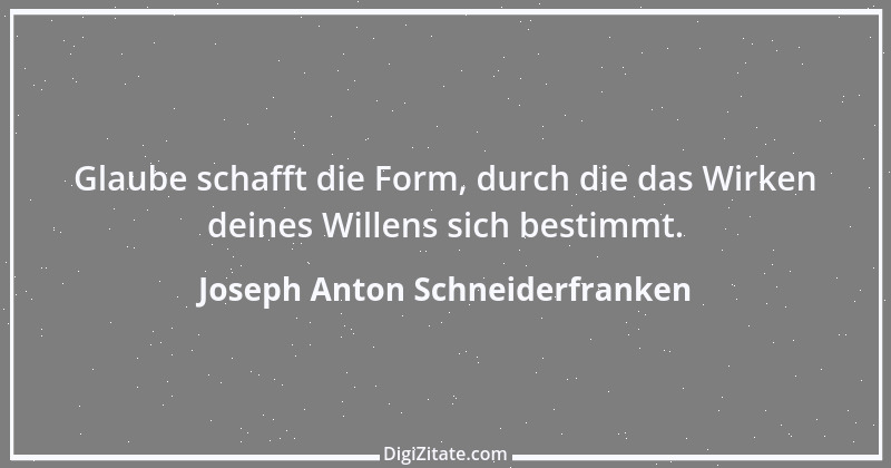 Zitat von Joseph Anton Schneiderfranken 5