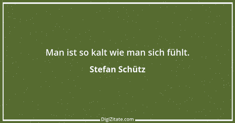 Zitat von Stefan Schütz 173