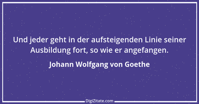 Zitat von Johann Wolfgang von Goethe 1144