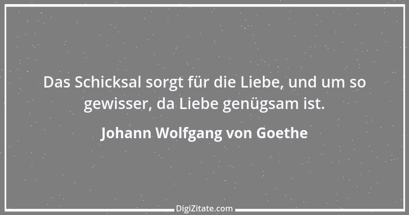 Zitat von Johann Wolfgang von Goethe 144