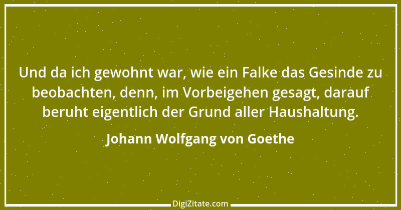 Zitat von Johann Wolfgang von Goethe 4144