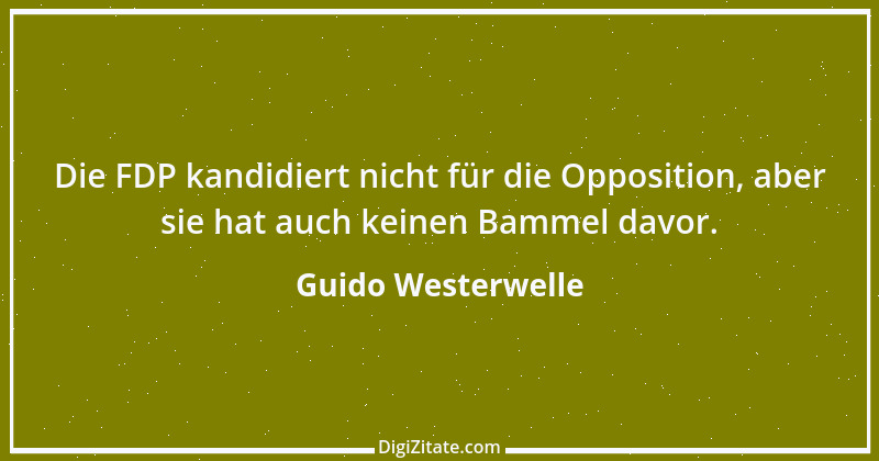 Zitat von Guido Westerwelle 69