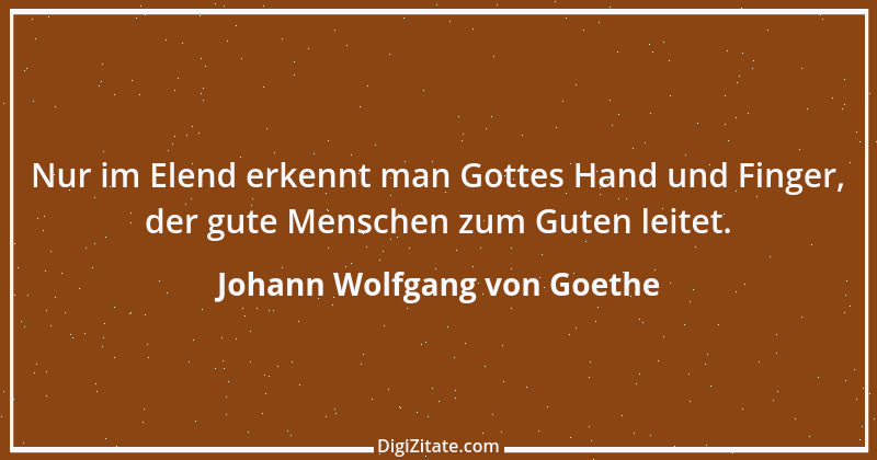 Zitat von Johann Wolfgang von Goethe 2145