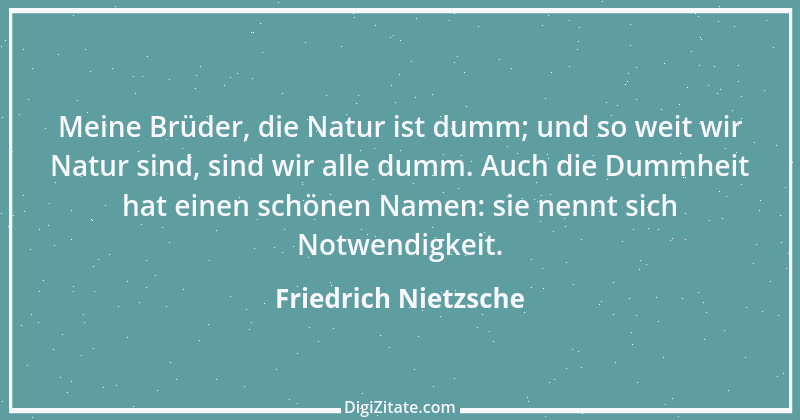 Zitat von Friedrich Nietzsche 705