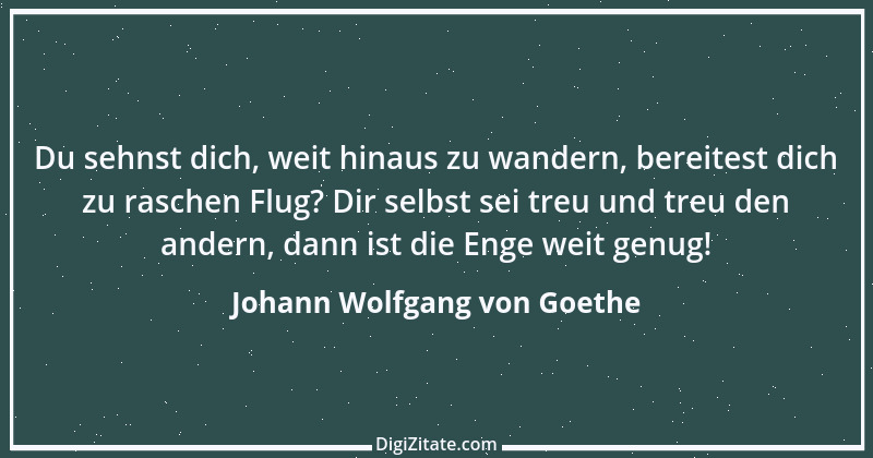 Zitat von Johann Wolfgang von Goethe 3768