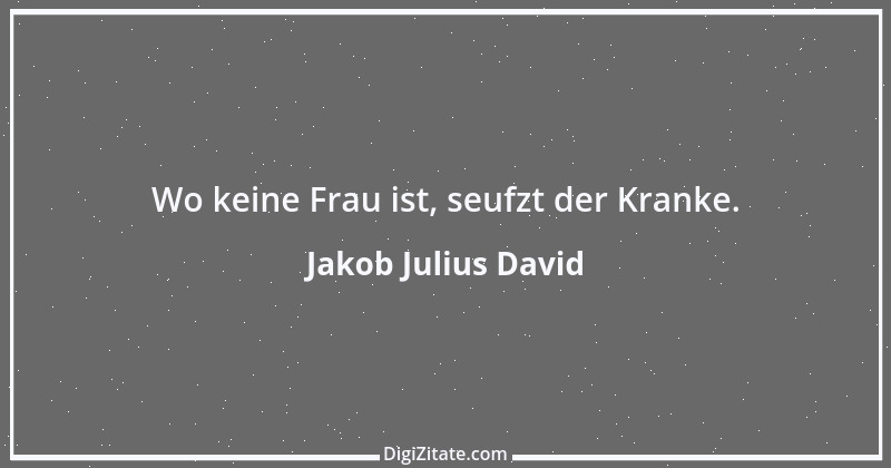 Zitat von Jakob Julius David 1