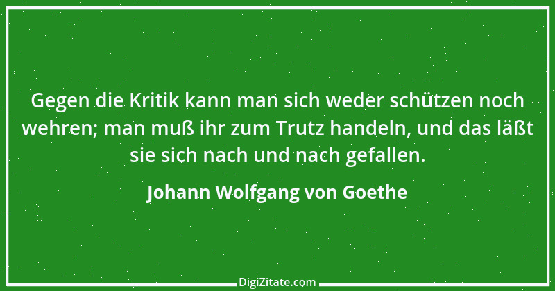 Zitat von Johann Wolfgang von Goethe 1146