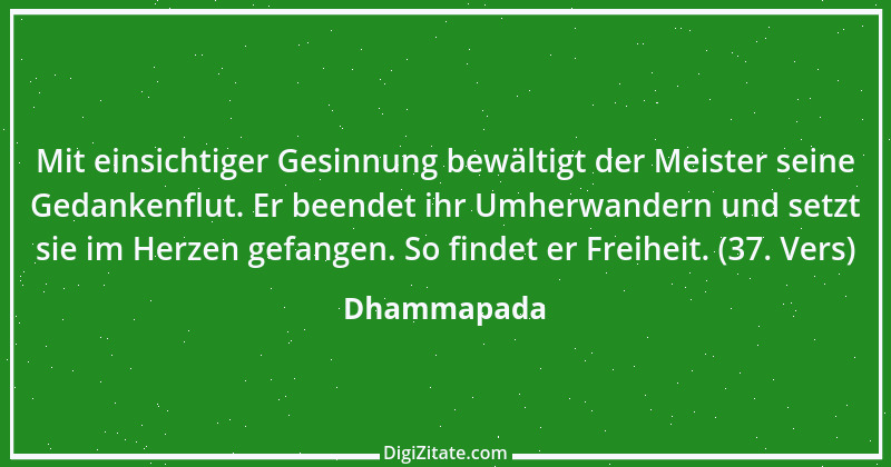 Zitat von Dhammapada 141