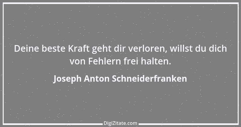 Zitat von Joseph Anton Schneiderfranken 9