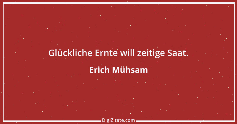 Zitat von Erich Mühsam 24