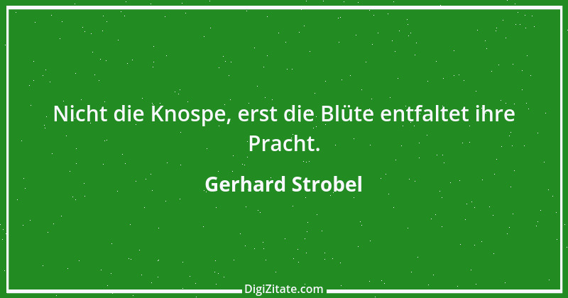 Zitat von Gerhard Strobel 39