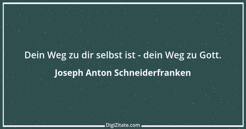 Zitat von Joseph Anton Schneiderfranken 10